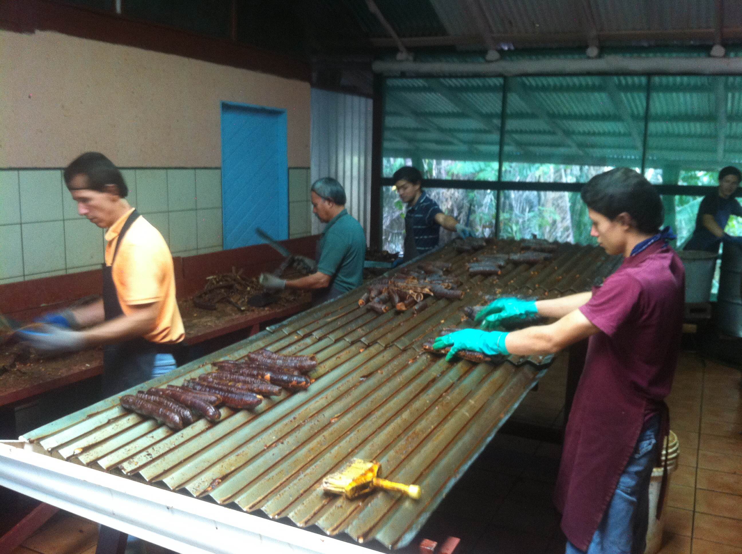 Young man opening carao with drain trays in background